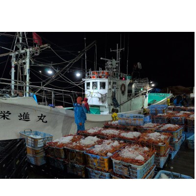 自社漁船直送!魚卸問屋のベニズワイガニ800g～1kg級×2杯