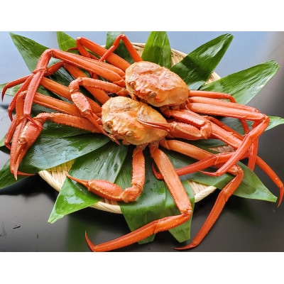 魚卸問屋のベニズワイガニ400g級×2杯