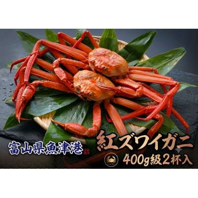 自社漁船直送!魚卸問屋のベニズワイガニ400g級×2杯