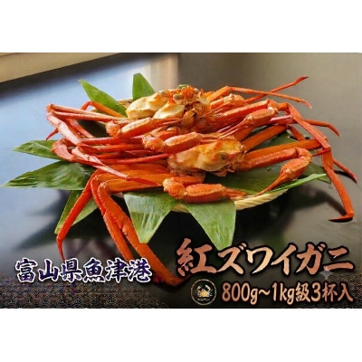 自社漁船直送!魚卸問屋のベニズワイガニ800g～1kg級×3杯