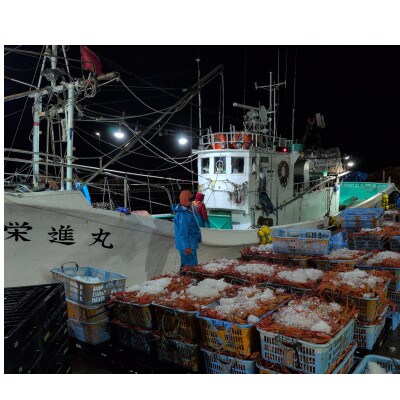 自社漁船直送!魚卸問屋のベニズワイガニ800g～1kg級×3杯