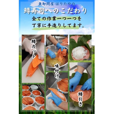 【毎月定期便】【急速冷凍品】厚切鱒寿司　饗(もてなし)　1段×1個全6回