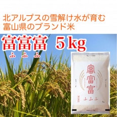富山米「富富富」5kg(白米)