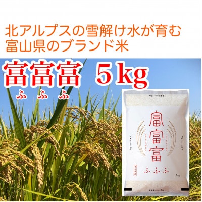 【毎月定期便】【9ヶ月定期便】富山県産米「富富富」5kg(精米)全9回