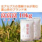 【毎月定期便】【3ヶ月定期便】富山県産米「富富富」10kg(5kg×2袋)(精米)全3回