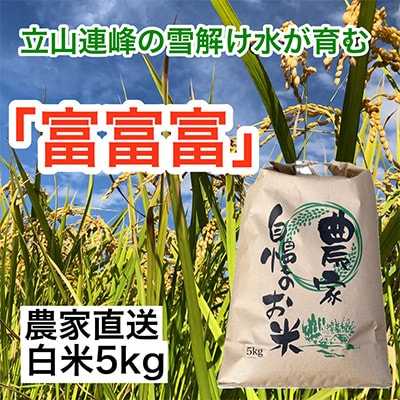 農家直送「富山米　富富富」5kg(白米)