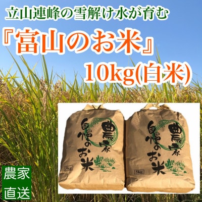 【早期予約】農家直送「富山米　富富富」10kg(白米)