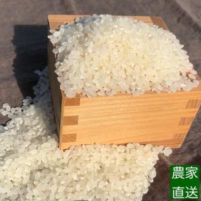 【早期予約】農家直送「富山米　富富富」10kg(白米)