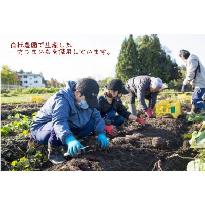 ぶどうの森の訳あり:ドライモお楽しみセット　