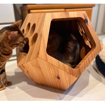 ねこベース