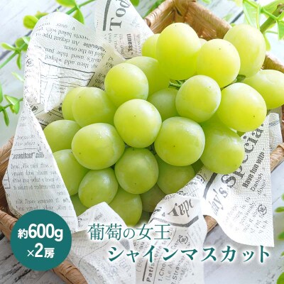 《先行受付》シャインマスカット 約1.2kg (約600g×2房) F4D-0075