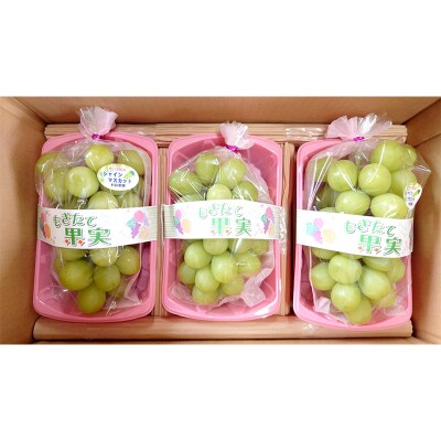 《先行受付》シャインマスカット 約1.2kg (約600g×2房) F4D-0075