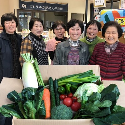 西会津ミネラル野菜セット定期便(小) 2回