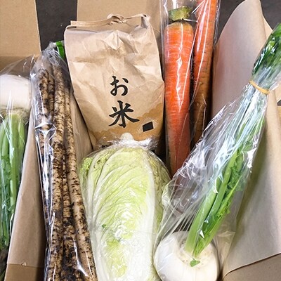 西会津ミネラル野菜セット定期便(小) 2回