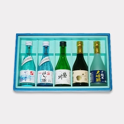 【先行受付】【栄川酒造】日本酒飲み比べセット(300ml×5本) F4D-0085
