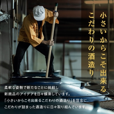 【先行受付】【栄川酒造】日本酒飲み比べセット(300ml×5本) F4D-0085