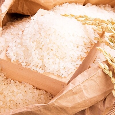 令和3年産 <定期便>JAS認定 有機栽培米 コシヒカリ 精米 3kg×3回 (2カ月に1回)