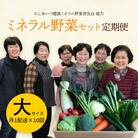 西会津ミネラル野菜セット定期便(大)10回 F4D-1402