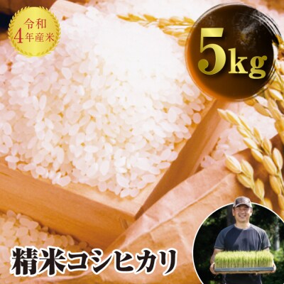 令和4年産 JAS認定 有機栽培米 コシヒカリ 精米 5kg F4D-0297