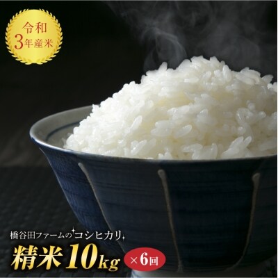 令和3年産 <定期便>西会津産米「コシヒカリ」精米(10kg×6回)※2カ月に1回