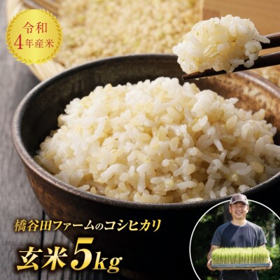 令和4年産 栽培期間中、減農薬・有機肥料栽培コシヒカリ 玄米 5kg F4D-0294