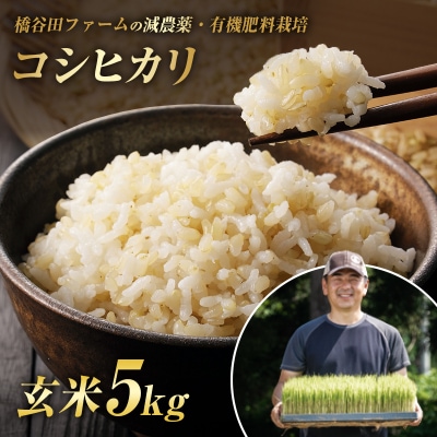 令和8年産 減農薬・有機肥料栽培 西会津産米 コシヒカリ 玄米 5kg F4D-2487