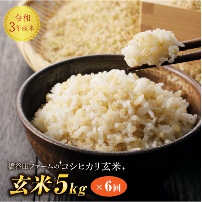 令和3年産 <定期便>栽培期間中 農薬と化学肥料を減らした コシヒカリ 玄米 5kg×6回