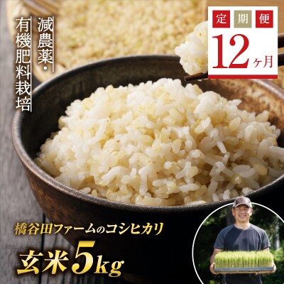<定期便12ヶ月>減農薬・有機肥料栽培 西会津産米 コシヒカリ 玄米5kg F4D-2494