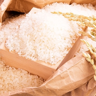 令和3年産 <定期便>JAS認定 有機栽培米 コシヒカリ 精米 5kg×3回 (2カ月に1回)