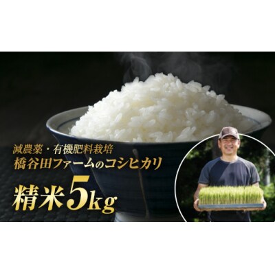 令和7年産 減農薬・有機肥料栽培コシヒカリ 精米 5kg F4D-2183