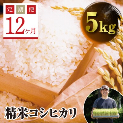 《定期便12ヶ月》JAS認定 有機栽培米 西会津産米コシヒカリ 精米 5kg F4D-1288