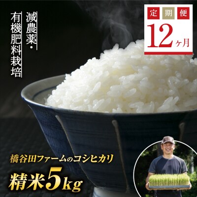 <定期便12ヶ月>減農薬・有機肥料栽培 西会津産米 コシヒカリ 精米5kg F4D-2478
