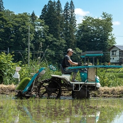 令和3年産<定期便>栽培期間中 農薬と化学肥料を減らした ミルキークイーン 精米 5kg×6回