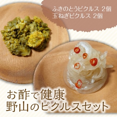 《お酢で健康》野山のピクルスセット(ふきのとうピクルス、玉ねぎピクルス 各2個) F4D-2256