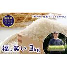 令和7年産【福島県オリジナルブランド米】 有機栽培米 「福、笑い」 3kg F4D-1608