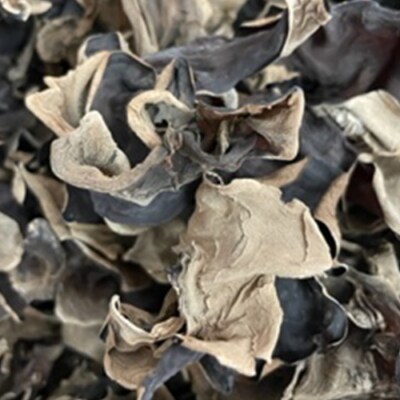 <特選>西会津産 乾燥きくらげ 小セット(黒15g×5袋)  F4D-2259