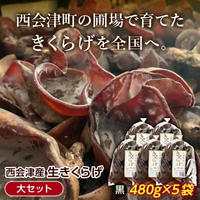 【期間限定】<西会津産>生きくらげ大セット F4D-0233