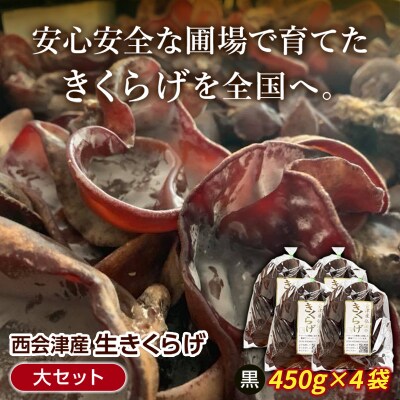 《期間限定》西会津産 生きくらげ 大セット (黒450g×4袋) F4D-2263
