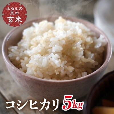 令和8年産【ホタルの里米】コシヒカリ玄米5kg F4D-2279