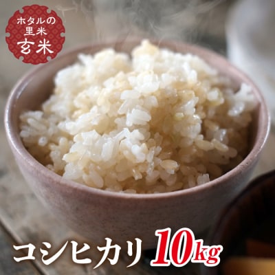 令和7年産【ホタルの里米】コシヒカリ玄米10kg F4D-1879