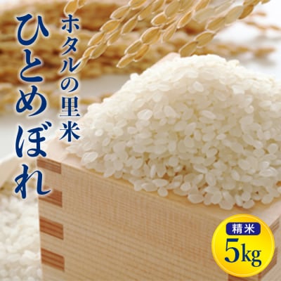 令和7年産【ホタルの里米】ひとめぼれ精米5kg F4D-1891