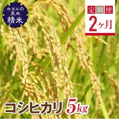 <定期便2ヶ月>【ホタルの里米】コシヒカリ精米5kg F4D-2268