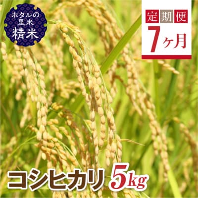   <定期便7ヶ月>【ホタルの里米】コシヒカリ精米5kg F4D-0654