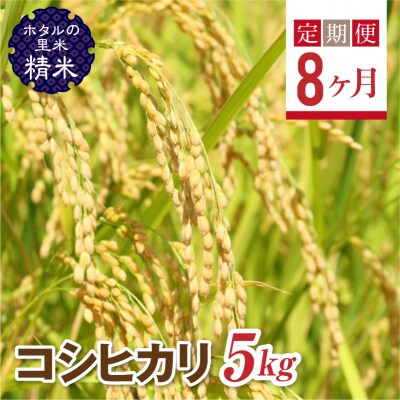 <定期便8ヶ月>【ホタルの里米】コシヒカリ精米5kg F4D-1000