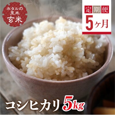 <定期便5ヶ月>【ホタルの里米】コシヒカリ玄米5kg F4D-2283