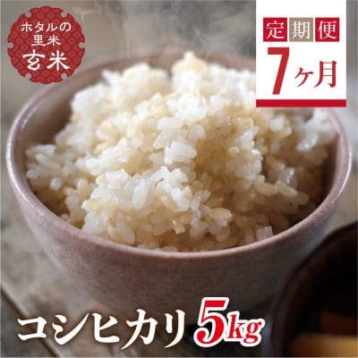 <定期便7ヶ月>【ホタルの里米】コシヒカリ玄米5kg F4D-0665