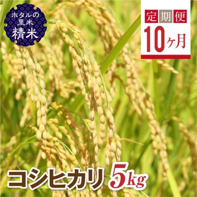 <定期便10ヶ月>【ホタルの里米】コシヒカリ精米5kg F4D-1002