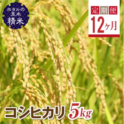 <定期便12ヶ月>【ホタルの里米】コシヒカリ精米5kg F4D-1004