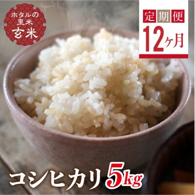 <定期便12ヶ月>【ホタルの里米】コシヒカリ玄米5kg F4D-1005