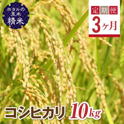 <定期便3ヶ月>【ホタルの里米】コシヒカリ精米10kg F4D-0672